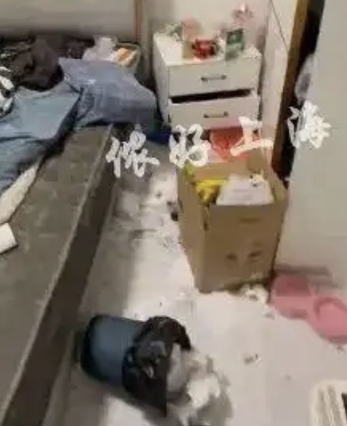 [뉴시스]세입자가 잠적한 뒤 쓰레기 더미로 변한 집 내 부. 배달 용기와 음식물 쓰레기가 곳곳에 방치돼 있다.(사진=홍성신문) 