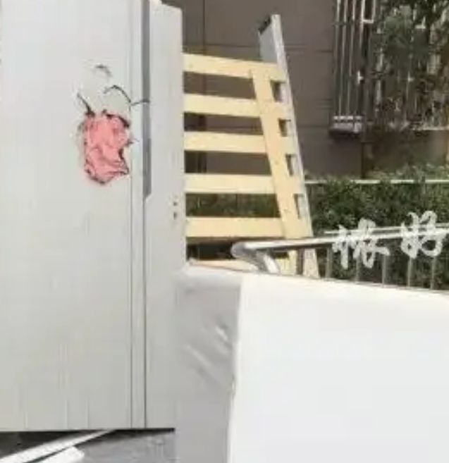 [뉴시스]세입자가 잠적한 뒤 쓰레기 더미로 변한 집 내 부. 배달 용기와 음식물 쓰레기가 곳곳에 방치돼 있다.(사진=홍성신문) 