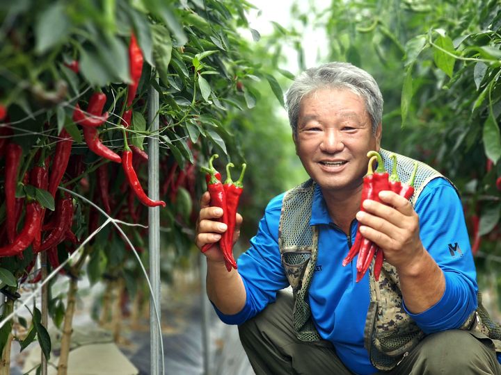 [괴산소식]청결고추 품평회, 김종복 농가 대상 수상 등