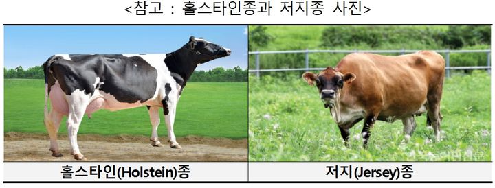 [세종=뉴시스] 정부가 유가공품을 생산하는 저지종 젖소 사육밀도 기준을 신설하는 등 축산업 환경 변화를 반영하고 축사 현대화를 유도하기 위한 축산법 시행령·시행규칙을 시행한다. (자료 = 농림축산식품부 제공) 2025.09.02. *재판매 및 DB 금지