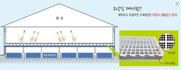 [세종=뉴시스] 닭·오리 사육 환경울 방역친화적으로 바꾸도록 관련 기준을 마련한다. 고상식 시설은 분뇨와 생활공간을 분리하고 깔짚을 쓰지 않아 방역 효과가 큰 시설인데, 설치 규정이 없어 보급이 더뎠다. 이번에 명확한 세부 설치 기준을 둬 AI(조류인플루엔자) 등 가축 전염병 예방에 효과을 낼 것으로 보인다. (자료 = 농림축산식품부 제공) 2025.09.02. *재판매 및 DB 금지