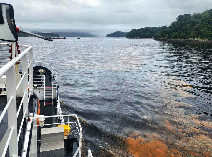 [부산=뉴시스] 적조가 확산된 경남 통영 인근 해안 (사진=남해지방해양경찰청 제공) 2025.09.02. photo@newsis.com *재판매 및 DB 금지