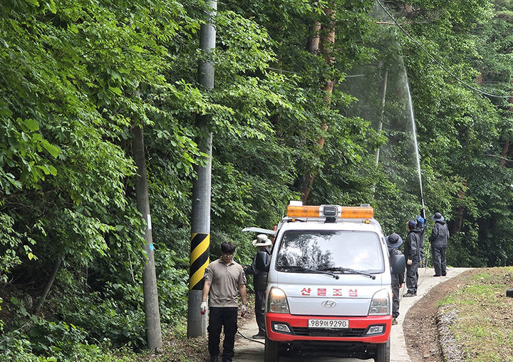 태백국유림관리소 예찰·방제단이 산림병해충 확산을 막기 위해 방제작업을 펼치고 있다.(사진=태백국유림관리소 제공) *재판매 및 DB 금지