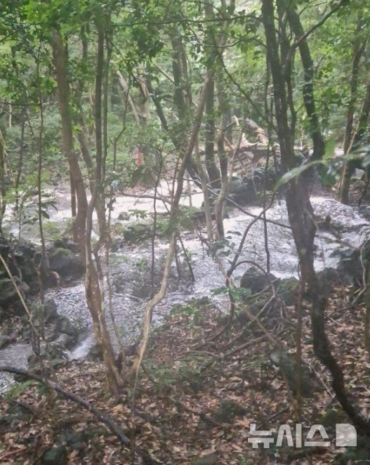 [제주=뉴시스] 2일 오후 서귀포시 남원읍 한라산 둘레길에서 관광객 11명이 불어난 계곡물에 고립돼 소방당국이 구조에 나서고 있다. 2025.09.02. photo@newsis.com 