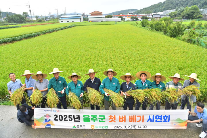 [울산=뉴시스] 울산 울주군은 2일 두북농협 RPC 육묘장에서 이순걸 울주군수와 지역 농업인 등이 참석한 가운데 올해 첫 벼 수확을 기념하는 행사를 했다고 밝혔다. (사진=울주군 제공) 2025.09.02. photo@newsis.com *재판매 및 DB 금지
