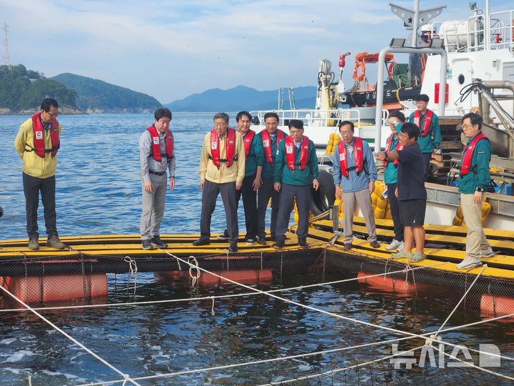[통영=뉴시스] 경남 남해안 해역을 중심으로 적조가 확산하는 가운데 2일 오후 해양수산부 홍래형(왼쪽 세번째) 수산정책실장이 통영시 해상 가두리양식장을 방문해 적조 대응 상황을 점검하고 있다.(사진=경남도 제공) 2025.09.02. photo@newsis.com