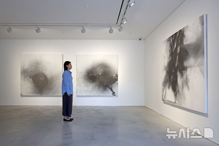 [서울=뉴시스] 박진희 기자 = 국제갤러리는 2일 서울 종로구 국제갤러리 K1에서 갈라 포라스-김(Gala Porras-Kim) 작가의 개인전 '자연 형식을 담는 조건' 기자간담회를 열고 작품을 선보이고 있다. 2025.09.02. pak7130@newsis.com