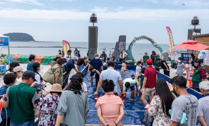 [보령=뉴시스] 지난해 열린 무창포 대하·전어 축제 모습. (사진=보령시청 제공) 2025.09.03. photo@newsis.com *재판매 및 DB 금지