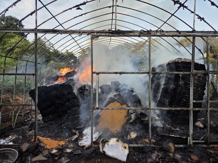 [세종=뉴시스] 지난 2일 오후 5시17분께 세종시 연서면 와촌리의 한 비닐하우스 화재로 불길과 연기가 피어 오르고 있다. (사진=세종소방본부 제공) 2025.09.03. photo@newsis.com *재판매 및 DB 금지