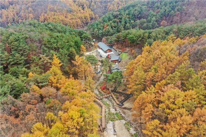 [대전=뉴시스] 국립양평치유의숲 전경.(사진=한국산림복지진흥원 제공) *재판매 및 DB 금지