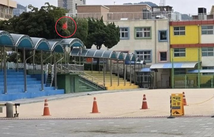 [서울=뉴시스] 최근 서울 용산구 한 초등학교에 중국 국기가 게양돼 논란이 일었다. (사진=SNS 갈무리) *재판매 및 DB 금지
