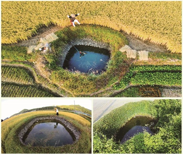 [고성(경남)=뉴시스] 신정철 기자= 경남 고성군이 농촌진흥청이 주관한 4억 2000만 원 규모의 '2026 농경문화 소득화 모델 구축사업' 공모에서 농업유산 둠벙을 주제로 전국 1위로 선정됐다.사진은 고성군 거류면 거산리와 마암면 삼락리·두호리 일원에 산재한 '고성 둠벙' 모습.(사진=고성군 제공).2025.09.03. photo@newsis.com *재판매 및 DB 금지