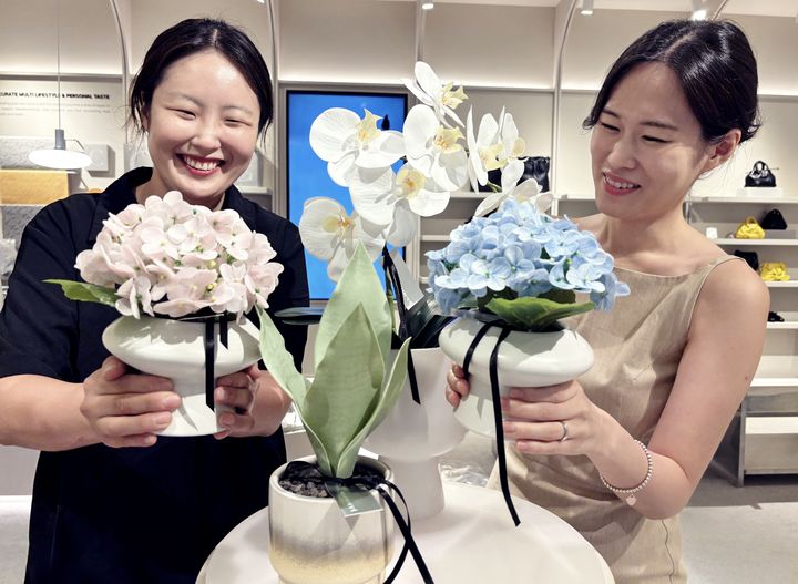 [대구=뉴시스] 롯데백화점은 대구점 1층 '코프트(COFT)' 매장에서 조화 플랜테리어 전문 브랜드 '그리밋(greemeet)'의 팝업 스토어를 운영한다. (사진 = 롯데백화점 제공) 2025.09.03. photo@newsis.com *재판매 및 DB 금지