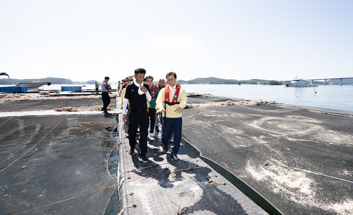 전재수 해수부 장관, 보령 가두리 양식장서 고수온 대응 상황 점검
