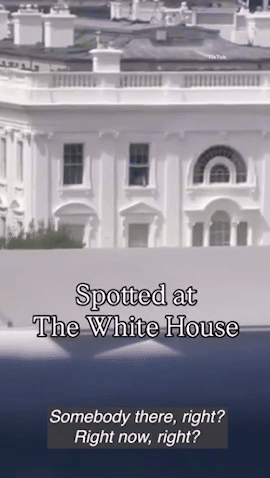 [뉴시스] 백악관 상층부 창문에서 물체가 떨어지는 영상이 온라인에 퍼지고 있다. (영상=데일리메일) 2025.09.02. *재판매 및 DB 금지