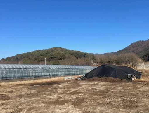 [양산=뉴시스] 경남 양산시가 최근 낙동강에서 발생하고 있는 녹조 확산에 대응하기 위해 다양한 대책을 마련하고 있다. 야적퇴비처리 후 모습. (사진=양산시 제공) 2025.09.03. photo@newsis.com *재판매 및 DB 금지