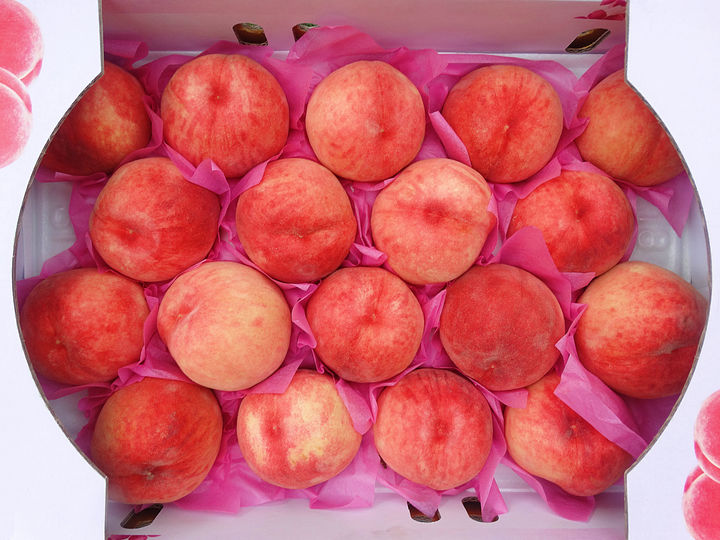 [서울=뉴시스] 복숭아 한 상자를 구입한 손님이 며칠이 지난 뒤 상태를 지적하며 환불을 요구해 황당했다는 한 자영업자의 사연이 전해졌다. 사진은 본 기사와 관계 없음. 2025.09.03. *재판매 및 DB금지 *재판매 및 DB 금지