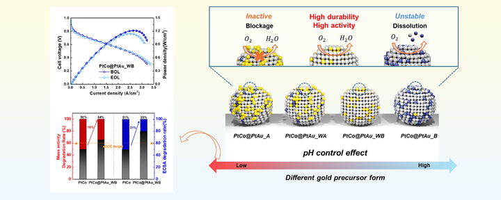 [서울=뉴시스] 연구 관련 이미지. (사진=성신여대 제공)2025.09.03. photo@newsis.com *재판매 및 DB 금지