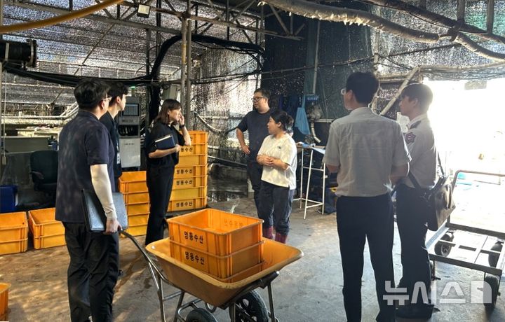 [포항=뉴시스] 포항시는 3일부터 한달간 경북도, 포항남부소방서, 한국전기안전공사, 포항수협 등 관계 기관과 지역 양식장 50개를 대상으로 전기 설비 합동 안전점검을 한다. 전기 설비 안전 점검 모습. (사진=포항시 제공) 2025.09.03. photo@newsis.com