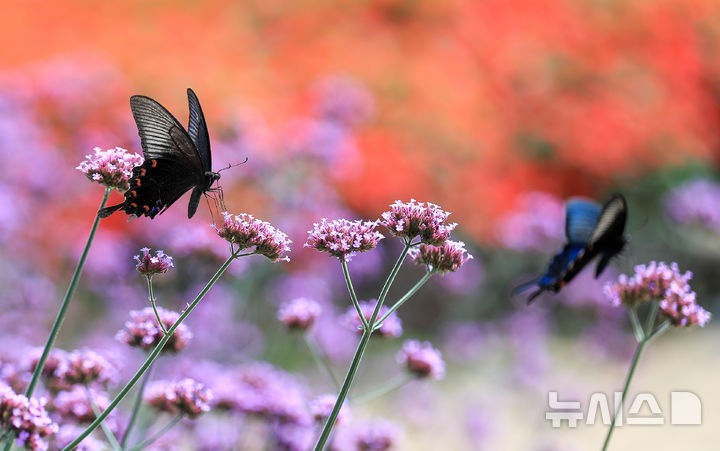 충북, 흐리다 오후부터 맑아져…한낮 19~21도