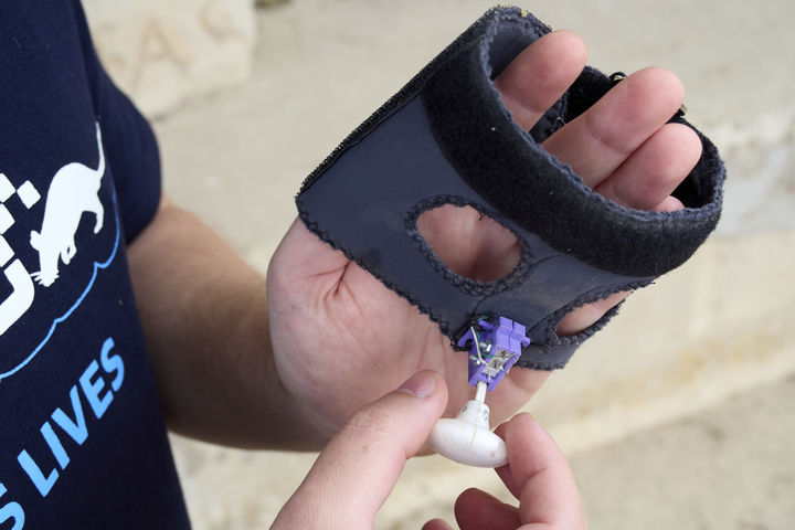 [모로고로=AP/뉴시스] 지난 7월 29일(현지 시간) 탄자니아 모로고로에 위치한 비영리 단체 'APOPO'(대인지뢰탐지개발기구) 연구소에서 관계자가 아프리카 큰주머니쥐(African giant pouched rat)가 사용하는 배낭을 보여주고 있다. 2025.09.04.