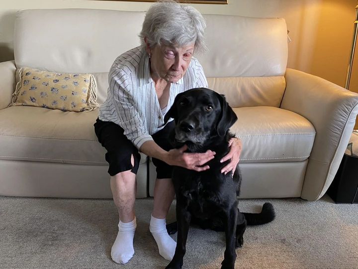 [뉴시스] 캐나다의 한 여성이 '치아-안구 각막이식술(Osteo-Odonto-Keratoprosthesis·OOKP)'을 받은 뒤 시력을 회복했다.(사진= Providence Health Care).2025.09.04 *재판매 및 DB 금지