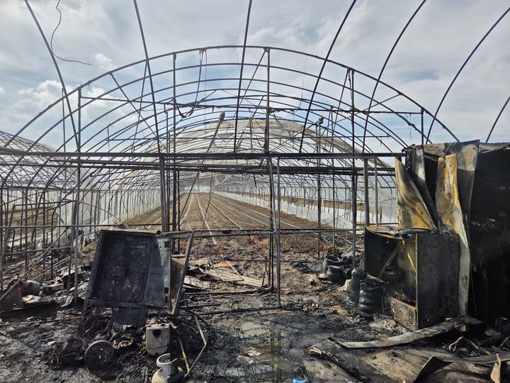 [세종=뉴시스] 지난 3일 오후 세종시 연동면 애향리 비닐하우스에서 불이 나 1시간 22분 만에 진화돼 뺘대만 남은 비닐하우스 모습. (사진=세종소방본부 제공) 2025.09.04. photo@newsis.com *재판매 및 DB 금지