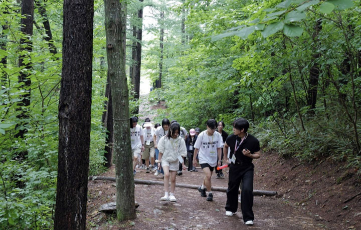 2025 영웅쉼터 힐링캠프에서 트레킹하는 참가자들.(사진=강원랜드 제공) *재판매 및 DB 금지