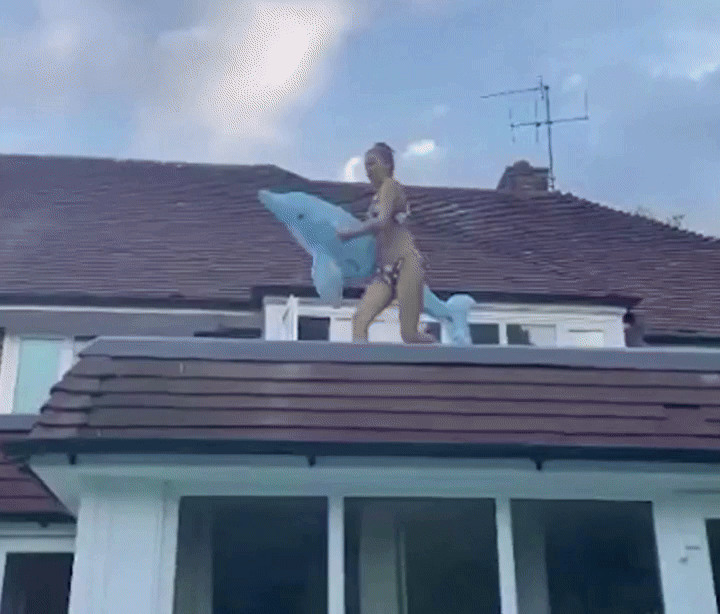 [뉴시스]복싱 경기 링걸 로나 조이스는 홈파티에서 돌고래 튜브를 타고 수영장으로 뛰어내렸다. (사진=데일리메일) 2025.9.3 *재판매 및 DB 금지