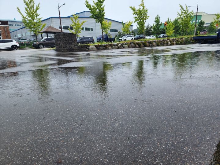 [강릉=뉴시스] 강릉 북부 지역인 과학단지 내 한 공터에 비가 내려 고여 있다.2025.09.04photo@newsis.com *재판매 및 DB 금지