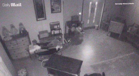 [뉴시스] (사진=데일리메일)*재판매 및 DB 금지