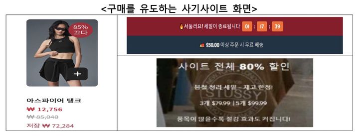 [서울=뉴시스] 구매를 유도하는 사기사이트 화면(사진=한국소비자원 제공) *재판매 및 DB 금지