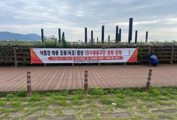 [부산=뉴시스] 부산시는 친수구간 조류경보제를 시범운영하고 있는 삼락, 화명 수상 레포츠타운 지점에 4일 오후 3시부로 조류경보 '관심' 단계를 '경계' 단계로 상향하여 발령했다. (사진=부산시 제공) 2025.09.04. photo@newsis.com *재판매 및 DB 금지