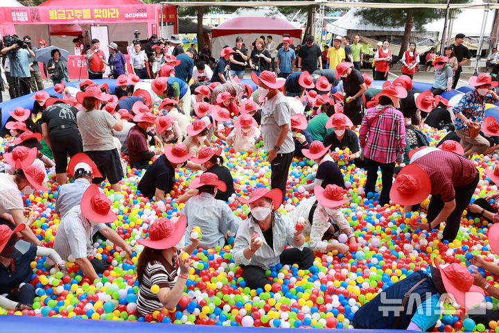 [괴산=뉴시스] 2025 괴산고추축제 첫날인 4일 시민들이 '황금고추를 찾아라' 프로그램을 즐기고 있다. (사진= 괴산군 제공) 2025.09.04. photo@newsis.com 