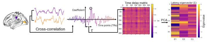 [서울=뉴시스] 기능적 자기공명영상 시계열 데이터로 시간 지연 값을 계산해 시간 지연 행렬의 고유벡터를 계산하는 과정 이미지. (사진=고려대 제공) 2025.09.04. photo@newsis.com *재판매 및 DB 금지