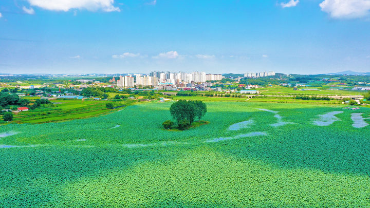 대전·세종·충남 대체로 맑다가 오후부터 소나기 5~40㎜