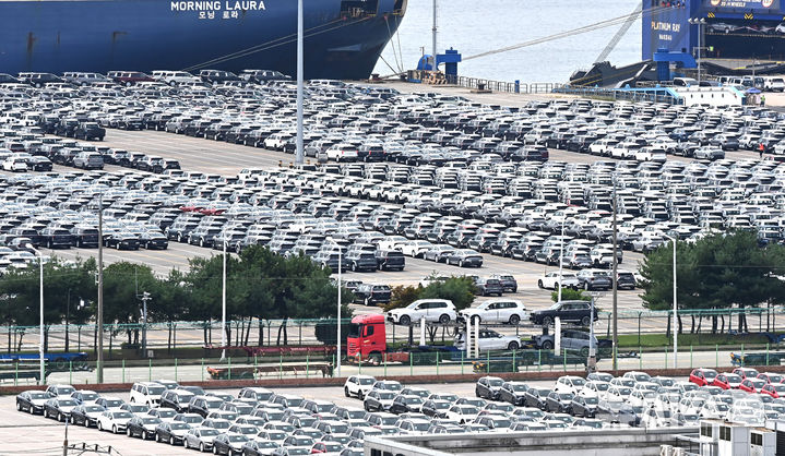 [평택=뉴시스] 김종택 기자 = 경기 평택시 포승읍 평택항 자동차 전용부두에 수출용 차량이 세워져 있는 모습. 2025.09.04. jtk@newsis.com