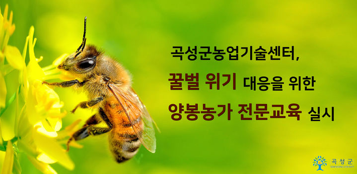 [곡성=뉴시스] 곡성군 양봉농가 전문교육. (사진=곡성군청 제공). photo@newsis.com *재판매 및 DB 금지