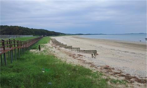 [보령=뉴시스] 보령시 소황사구 전경. (사진=보령시청 제공) 2025.09.05. photo@newsis.com *재판매 및 DB 금지