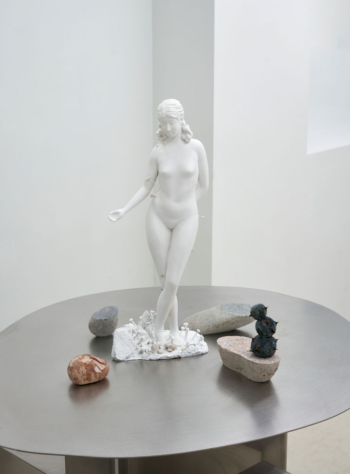 김시하, 불타는 나의 작은 숲 2 *재판매 및 DB 금지