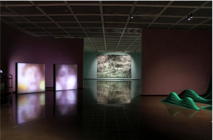 서울미술관 '이끼: 축축하고 그늘진 녹색의 떼' 전시 전경. *재판매 및 DB 금지