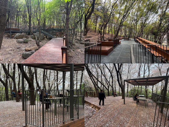 [서울=뉴시스] 은평구, ‘백련산 꿈마을 숲정이’ 조성 본격 추진. 2025.09.05. (사진=은평구 제공) *재판매 및 DB 금지