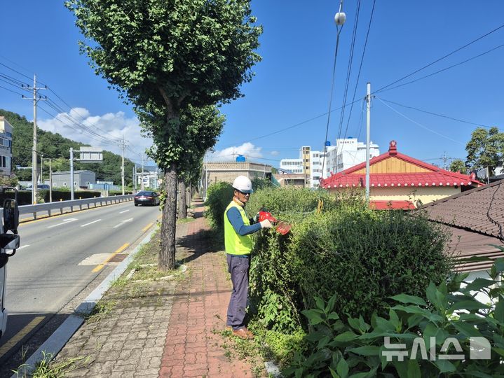 사천시, 추석 명절 '녹지·공원·산림분야' 환경정비 합니다