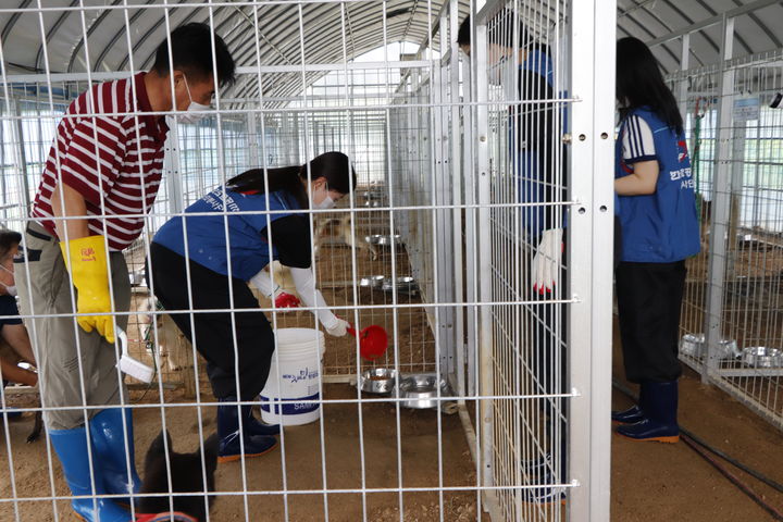 [원주=뉴시스] 유기견 보호소 봉사활동 모습. (사진=한국도로공사 강원본부 제공) 2025.09.05. photo@newsis.com *재판매 및 DB 금지