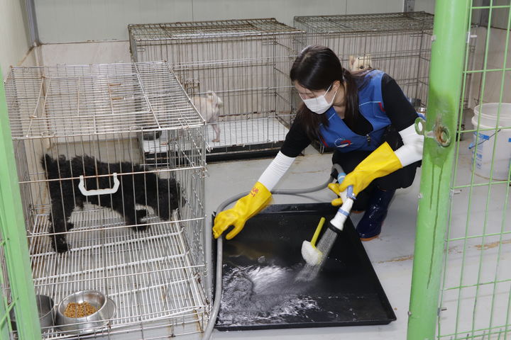 [원주=뉴시스] 유기견 보호소 봉사활동 모습. (사진=한국도로공사 강원본부 제공) 2025.09.05. photo@newsis.com *재판매 및 DB 금지