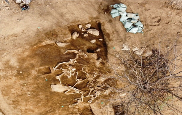 [무안=뉴시스] 여순사건위원회 광양 매티재 발굴 유해. (사진 제공 = 여순사건위원회). 2025.09.05. photo@newsis.com *재판매 및 DB 금지