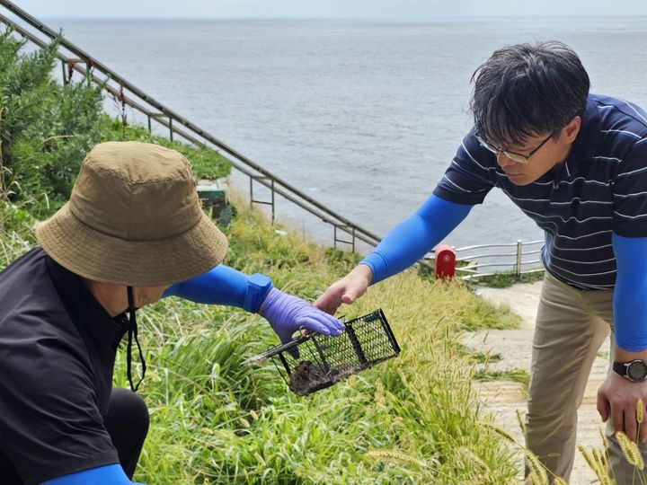 [대구=뉴시스] 대구지방환경청은 독도를 방문해 외부 침입종인 집쥐로 인한 독도 생태계 교란 실태를 확인하고 관리 사업 추진 현황을 점검했다. (사진=대구지방환경청 제공) 2025.09.05. photo@newsis.com *재판매 및 DB 금지