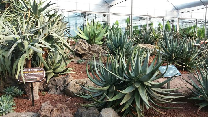 (사진=김정문알로에 제공) *재판매 및 DB 금지