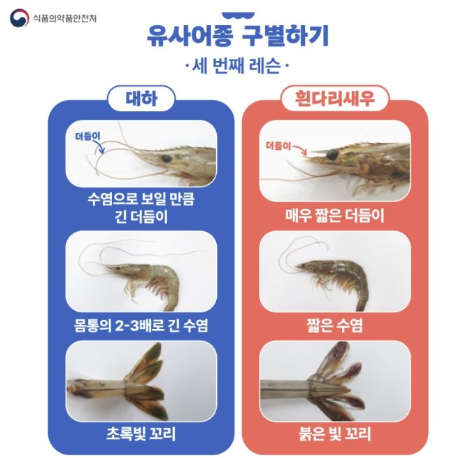 [서울=뉴시스] 5일 식품의약품안전처는 유사어종에 대해 유전자 분석 등 과학적 분석 기법을 통해 거짓 표시 행위를 지속적으로 점검하고 있다고 밝혔다. (사진=식약처 제공) 2025.09.05. photo@newsis.com *재판매 및 DB 금지