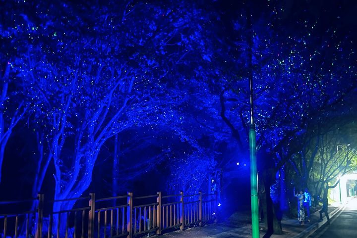 [청주=뉴시스] 충북 청주시 우암산 둘레길 경관조명. photo@newsis.com *재판매 및 DB 금지